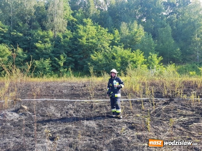 Zdjęcie w galerii na portalu naszwodzislaw.com: Strażacy walczyli z pożarem trawy w Godowie wiadomości z regionu