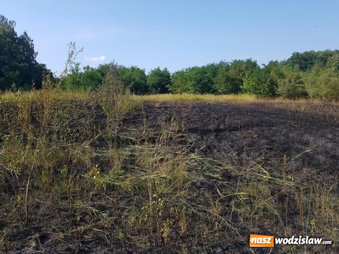 Zdjęcie w galerii na portalu naszwodzislaw.com: Strażacy walczyli z pożarem trawy w Godowie wiadomości z regionu