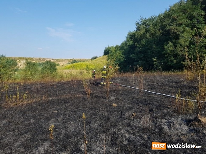Zdjęcie w galerii na portalu naszwodzislaw.com: Strażacy walczyli z pożarem trawy w Godowie wiadomości z regionu