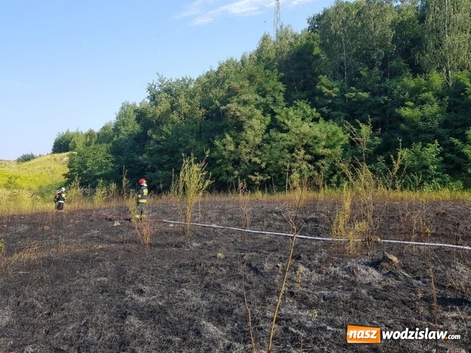 Zdjęcie w galerii na portalu naszwodzislaw.com: Strażacy walczyli z pożarem trawy w Godowie wiadomości z regionu