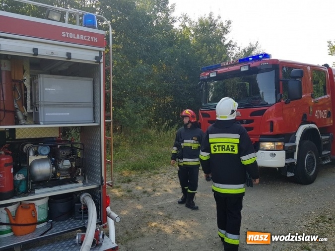 Zdjęcie w galerii na portalu naszwodzislaw.com: Strażacy walczyli z pożarem trawy w Godowie wiadomości z regionu