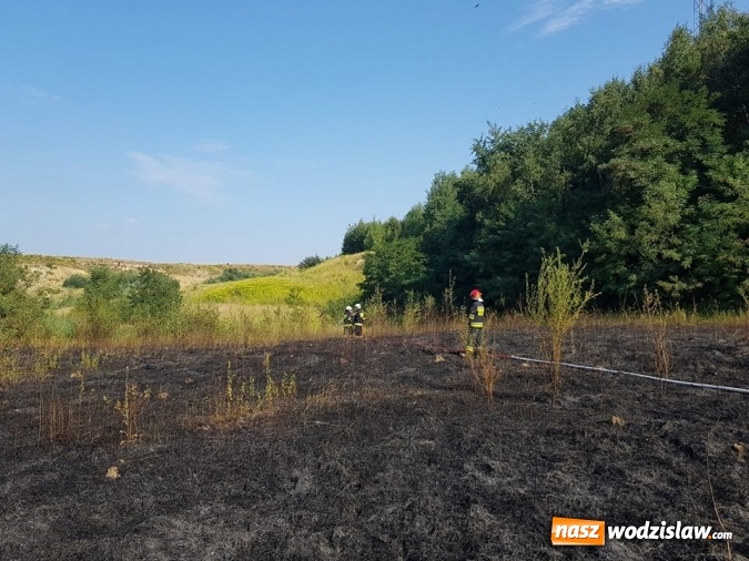 Zdjęcie w galerii na portalu naszwodzislaw.com: Strażacy walczyli z pożarem trawy w Godowie wiadomości z regionu