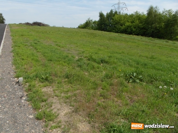 Zdjęcie w galerii na portalu naszwodzislaw.com: Miasto szuka chętnych na działki przy ulicy Żwirki i Wigury wiadomości z regionu