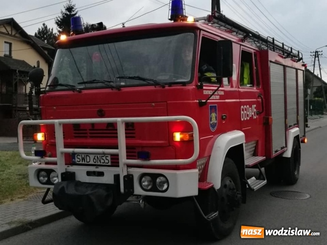 Zdjęcie w galerii na portalu naszwodzislaw.com: Kolejne interwencje straży związane z owadami wiadomości z regionu