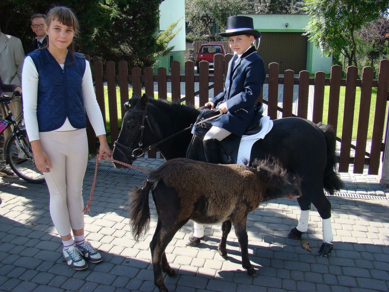 Zdjęcie w galerii na portalu naszwodzislaw.com: Jak nom Unia nie pomoże... wiadomości z regionu
