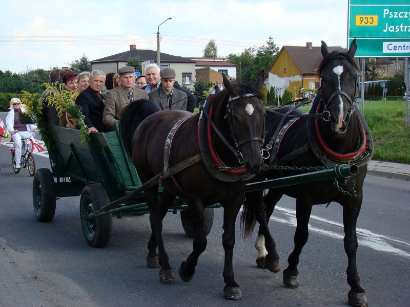 Zdjęcie w galerii na portalu naszwodzislaw.com: Jak nom Unia nie pomoże... wiadomości z regionu