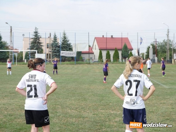 Zdjęcie w galerii na portalu naszwodzislaw.com: Festyn sportowo-rodzinny w Kokoszycach za nami wiadomości z regionu