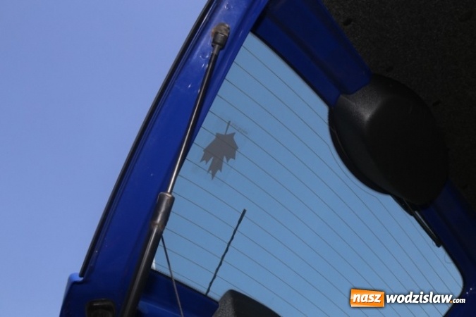 Zdjęcie w galerii na portalu naszwodzislaw.com: Śląskie rusza z akcją Srebrny Listek wiadomości z regionu