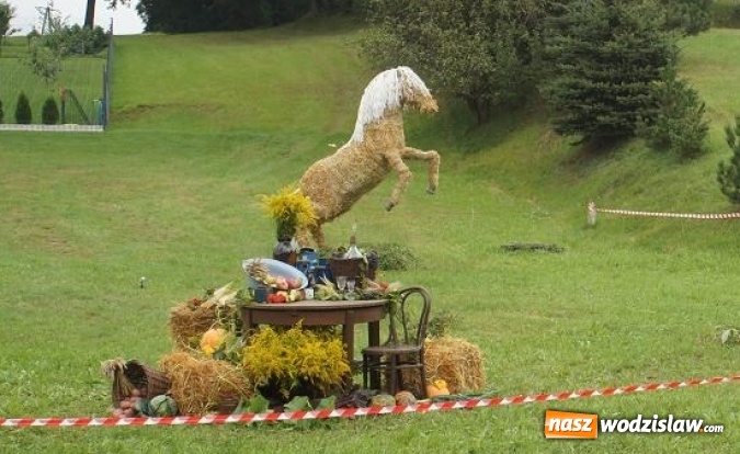 Zdjęcie w galerii na portalu naszwodzislaw.com: Dożynki Gminy Mszana. Sprawdź, co zaplanowano wiadomości z regionu