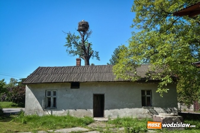 Zdjęcie w galerii na portalu naszwodzislaw.com: Nieboczowy - wieś widmo AD 2017  wiadomości z regionu