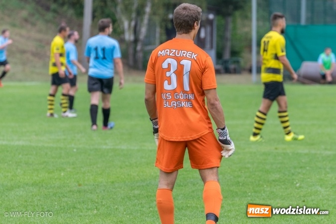 Zdjęcie w galerii na portalu naszwodzislaw.com: Naprzód Krzyżkowice bez punktów w Górkach Śląskich wiadomości z regionu