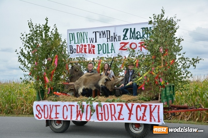 Zdjęcie w galerii na portalu naszwodzislaw.com: Gminne Dożynki w Gorzycach. Górnicy nieśli koronę wiadomości z regionu