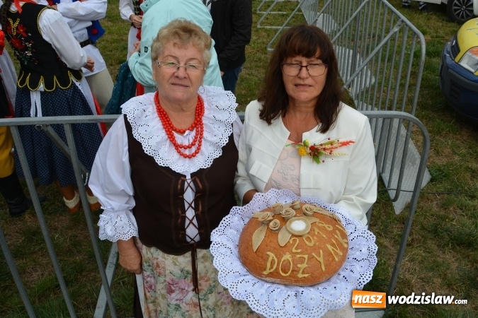 Zdjęcie w galerii na portalu naszwodzislaw.com: Gminne Dożynki w Gorzycach. Górnicy nieśli koronę wiadomości z regionu