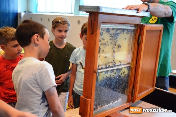 Zdjęcie w galerii na portalu naszwodzislaw.com: Akcja Lato w WCK pełna wrażeń wiadomości z regionu