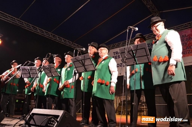 Zdjęcie w galerii na portalu naszwodzislaw.com: Przeżyjmy to jeszcze raz, czyli fotorelacja z Transgranicznego Festiwalu Kultury wiadomości z regionu