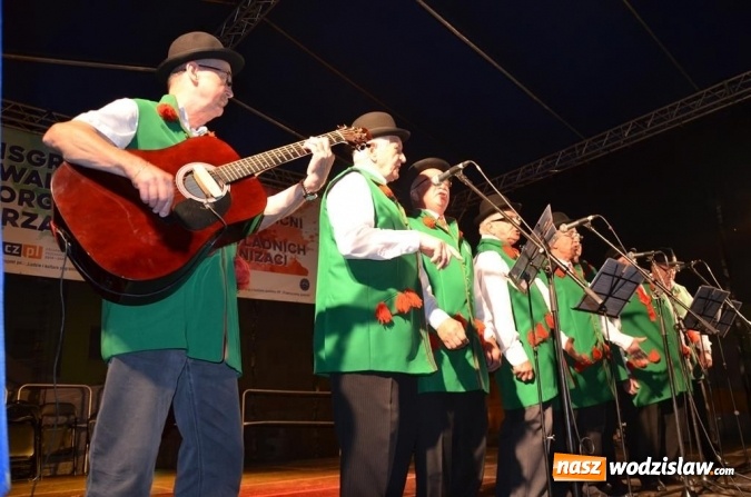 Zdjęcie w galerii na portalu naszwodzislaw.com: Przeżyjmy to jeszcze raz, czyli fotorelacja z Transgranicznego Festiwalu Kultury wiadomości z regionu