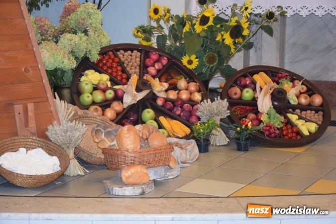 Zdjęcie w galerii na portalu naszwodzislaw.com: Rekordowy korowód na dożynkach gminy Mszana wiadomości z regionu