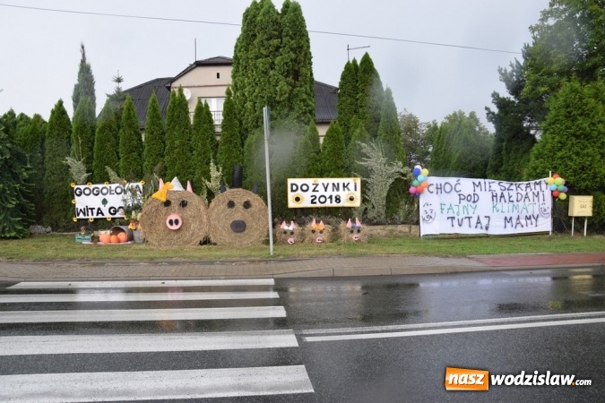 Zdjęcie w galerii na portalu naszwodzislaw.com: Rekordowy korowód na dożynkach gminy Mszana wiadomości z regionu