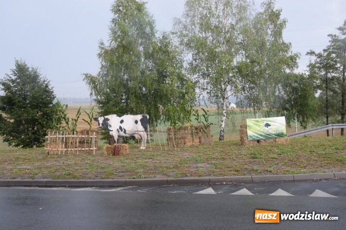 Zdjęcie w galerii na portalu naszwodzislaw.com: Rekordowy korowód na dożynkach gminy Mszana wiadomości z regionu