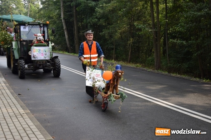 Zdjęcie w galerii na portalu naszwodzislaw.com: Rekordowy korowód na dożynkach gminy Mszana wiadomości z regionu