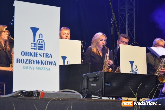 Zdjęcie w galerii na portalu naszwodzislaw.com: Rekordowy korowód na dożynkach gminy Mszana wiadomości z regionu