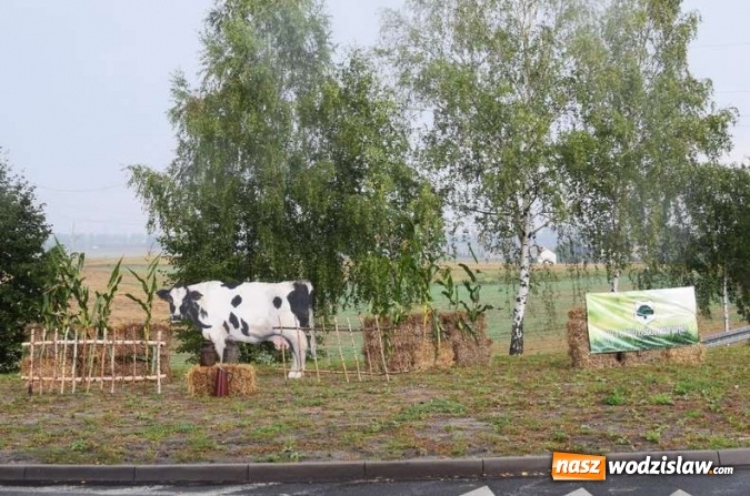 Zdjęcie w galerii na portalu naszwodzislaw.com: Rozstrzygnięto konkurs na najlepsze dożynkowe ozdoby wiadomości z regionu