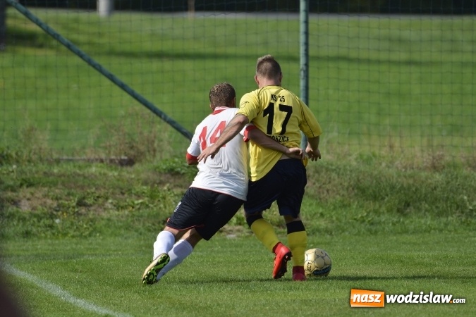 Zdjęcie w galerii na portalu naszwodzislaw.com: Rezerwy Płomienia Połomia lepsze od Kokoszyc wiadomości z regionu