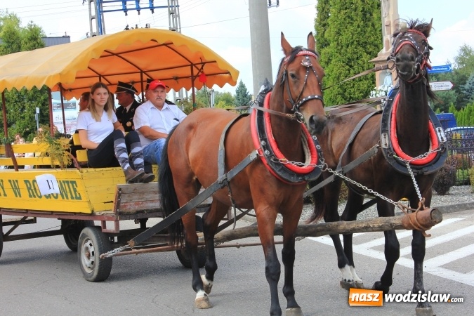 Zdjęcie w galerii na portalu naszwodzislaw.com: Szejki z Dubaju, bukowski Batman oraz Barbie i Ken, czyli pomysłowy korowód dożynkowy w Lubomi wiadomości z regionu