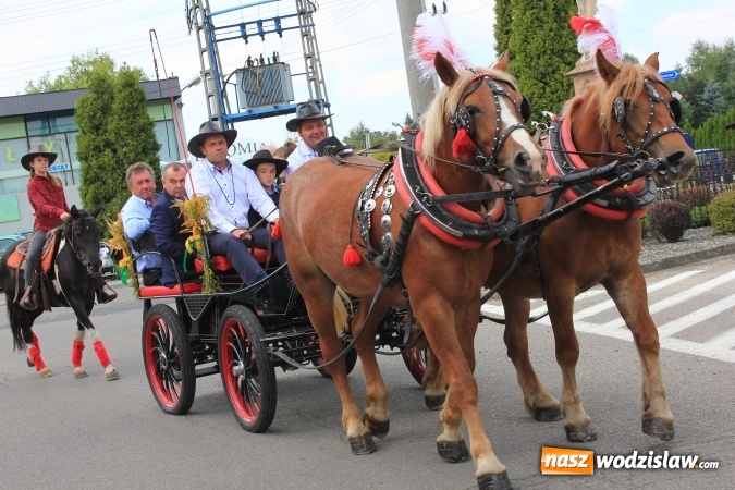 Zdjęcie w galerii na portalu naszwodzislaw.com: Szejki z Dubaju, bukowski Batman oraz Barbie i Ken, czyli pomysłowy korowód dożynkowy w Lubomi wiadomości z regionu