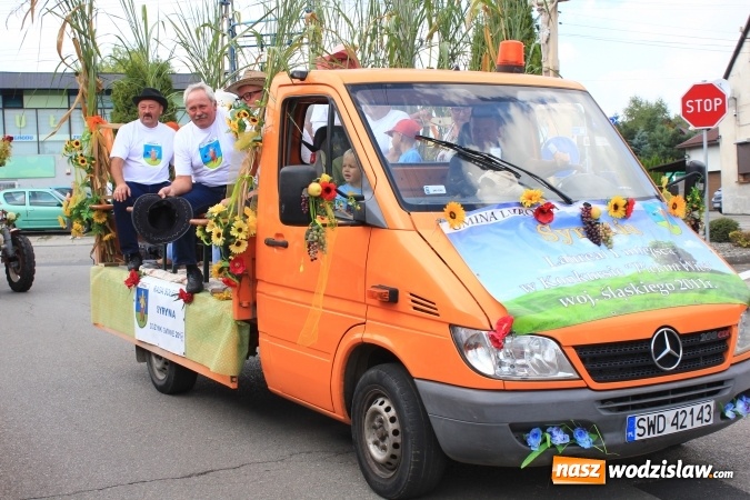 Zdjęcie w galerii na portalu naszwodzislaw.com: Szejki z Dubaju, bukowski Batman oraz Barbie i Ken, czyli pomysłowy korowód dożynkowy w Lubomi wiadomości z regionu