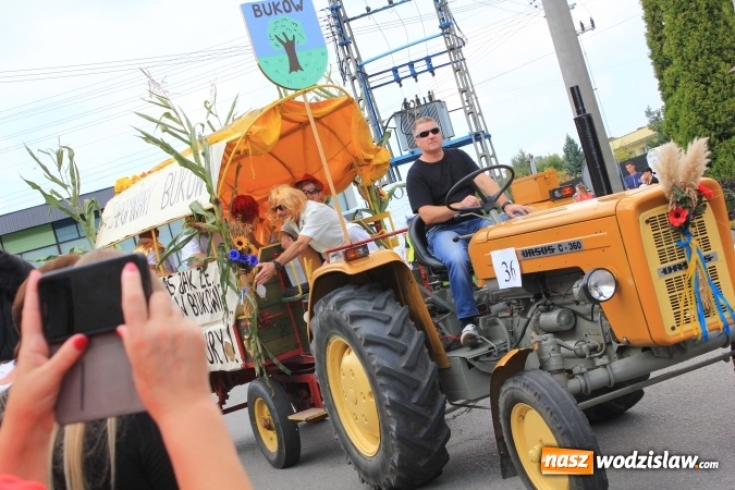 Zdjęcie w galerii na portalu naszwodzislaw.com: Szejki z Dubaju, bukowski Batman oraz Barbie i Ken, czyli pomysłowy korowód dożynkowy w Lubomi wiadomości z regionu