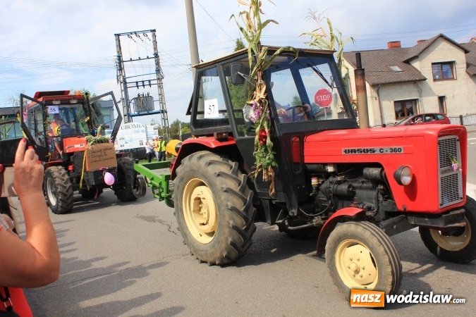 Zdjęcie w galerii na portalu naszwodzislaw.com: Szejki z Dubaju, bukowski Batman oraz Barbie i Ken, czyli pomysłowy korowód dożynkowy w Lubomi wiadomości z regionu