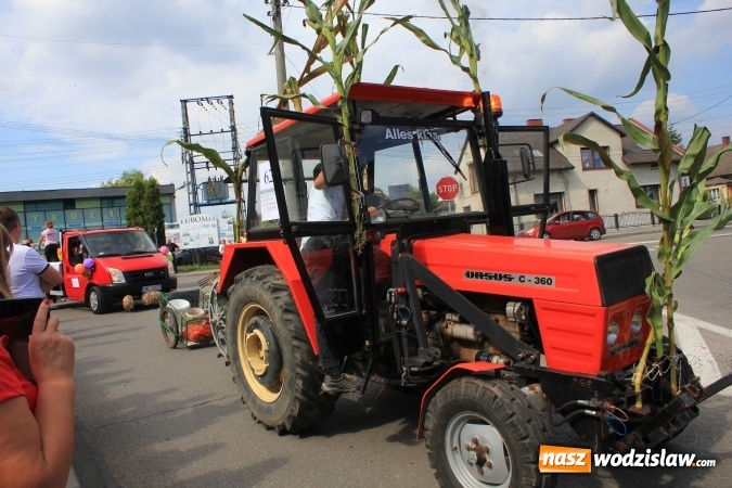 Zdjęcie w galerii na portalu naszwodzislaw.com: Szejki z Dubaju, bukowski Batman oraz Barbie i Ken, czyli pomysłowy korowód dożynkowy w Lubomi wiadomości z regionu