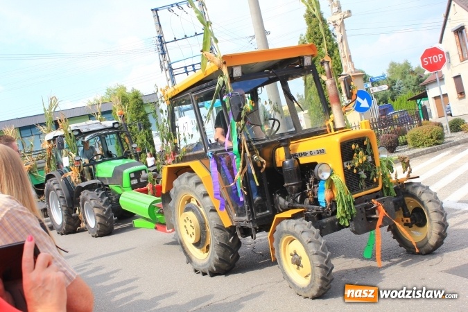 Zdjęcie w galerii na portalu naszwodzislaw.com: Szejki z Dubaju, bukowski Batman oraz Barbie i Ken, czyli pomysłowy korowód dożynkowy w Lubomi wiadomości z regionu