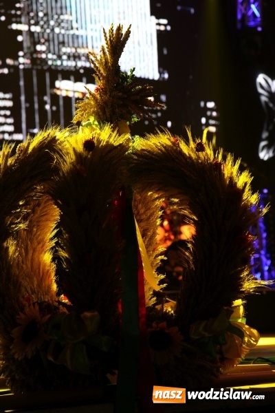 Zdjęcie w galerii na portalu naszwodzislaw.com: Grzegorz Markowski z zespołem Perfect porwał publiczność w Lubomi!  wiadomości z regionu