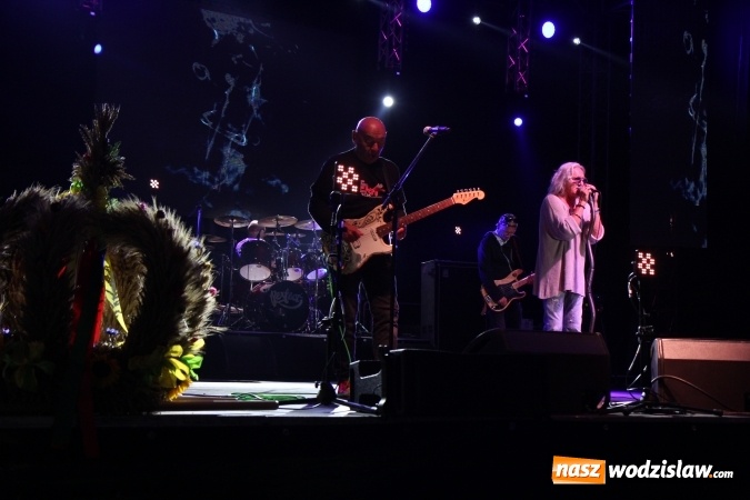 Zdjęcie w galerii na portalu naszwodzislaw.com: Grzegorz Markowski z zespołem Perfect porwał publiczność w Lubomi!  wiadomości z regionu