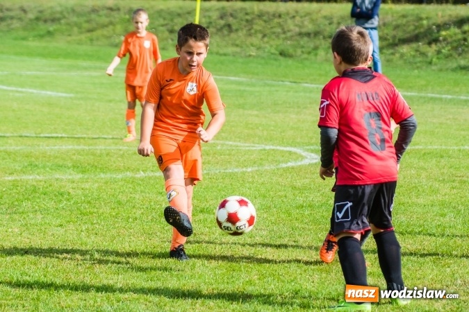 Zdjęcie w galerii na portalu naszwodzislaw.com: Orliki młodsze: Mendel goli w starciu Rafako z AP United Rydułtowy wiadomości z regionu