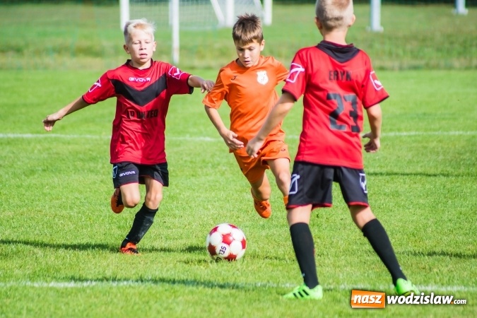 Zdjęcie w galerii na portalu naszwodzislaw.com: Orliki młodsze: Mendel goli w starciu Rafako z AP United Rydułtowy wiadomości z regionu