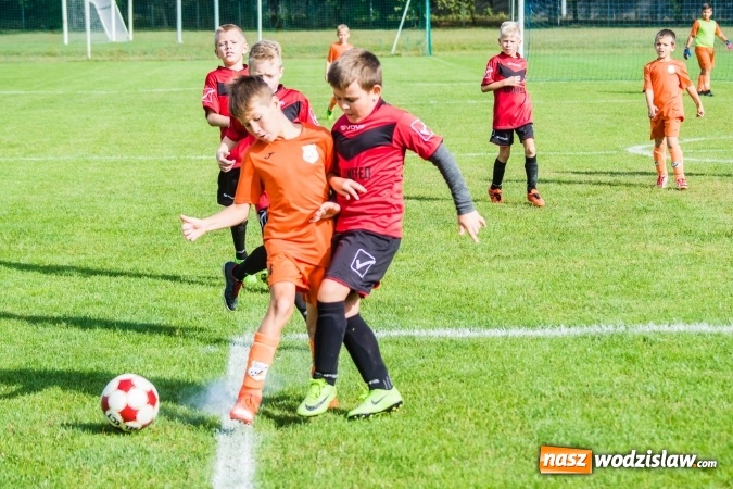 Zdjęcie w galerii na portalu naszwodzislaw.com: Orliki młodsze: Mendel goli w starciu Rafako z AP United Rydułtowy wiadomości z regionu