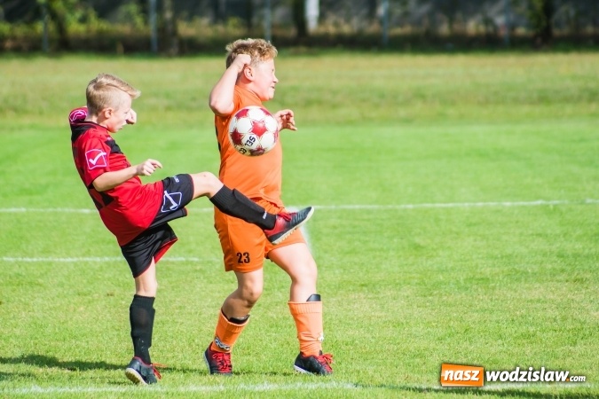 Zdjęcie w galerii na portalu naszwodzislaw.com: Orliki młodsze: Mendel goli w starciu Rafako z AP United Rydułtowy wiadomości z regionu