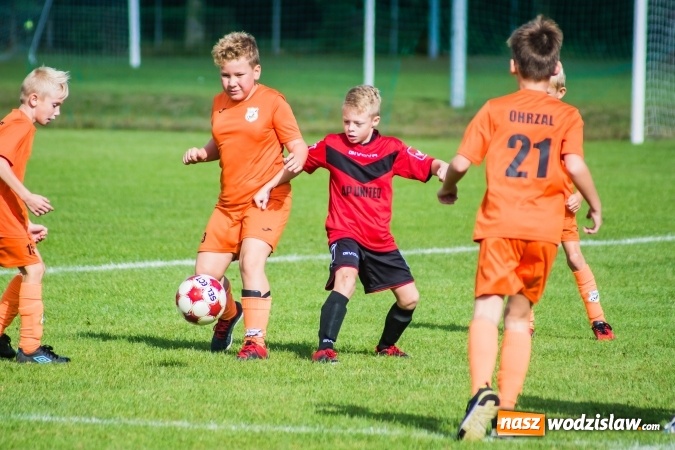 Zdjęcie w galerii na portalu naszwodzislaw.com: Orliki młodsze: Mendel goli w starciu Rafako z AP United Rydułtowy wiadomości z regionu