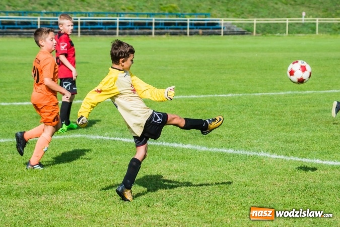 Zdjęcie w galerii na portalu naszwodzislaw.com: Orliki młodsze: Mendel goli w starciu Rafako z AP United Rydułtowy wiadomości z regionu