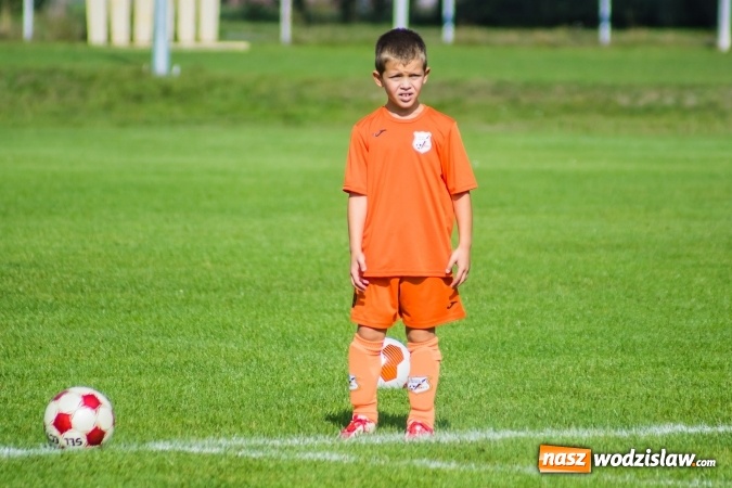 Zdjęcie w galerii na portalu naszwodzislaw.com: Orliki młodsze: Mendel goli w starciu Rafako z AP United Rydułtowy wiadomości z regionu