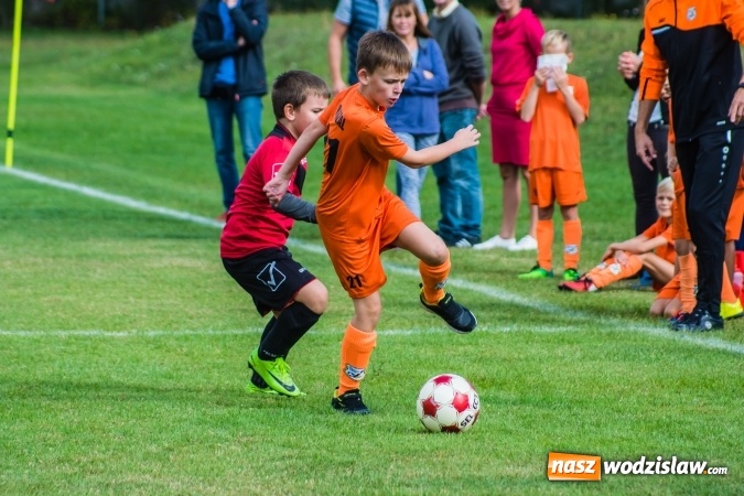 Zdjęcie w galerii na portalu naszwodzislaw.com: Orliki młodsze: Mendel goli w starciu Rafako z AP United Rydułtowy wiadomości z regionu