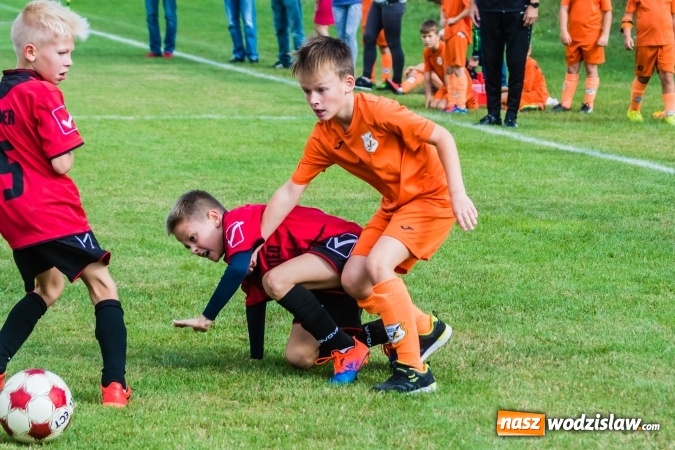 Zdjęcie w galerii na portalu naszwodzislaw.com: Orliki młodsze: Mendel goli w starciu Rafako z AP United Rydułtowy wiadomości z regionu