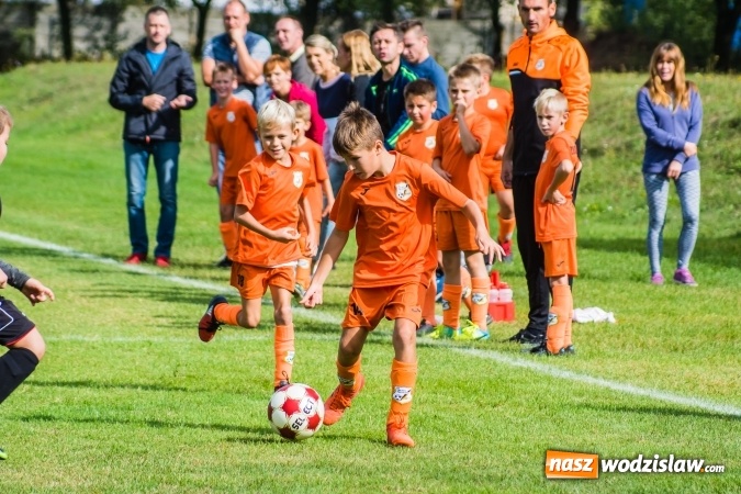 Zdjęcie w galerii na portalu naszwodzislaw.com: Orliki młodsze: Mendel goli w starciu Rafako z AP United Rydułtowy wiadomości z regionu