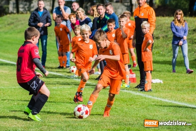 Zdjęcie w galerii na portalu naszwodzislaw.com: Orliki młodsze: Mendel goli w starciu Rafako z AP United Rydułtowy wiadomości z regionu