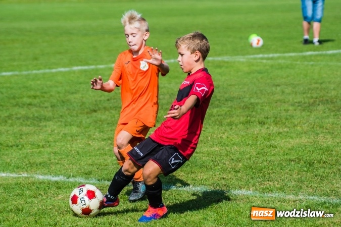 Zdjęcie w galerii na portalu naszwodzislaw.com: Orliki młodsze: Mendel goli w starciu Rafako z AP United Rydułtowy wiadomości z regionu