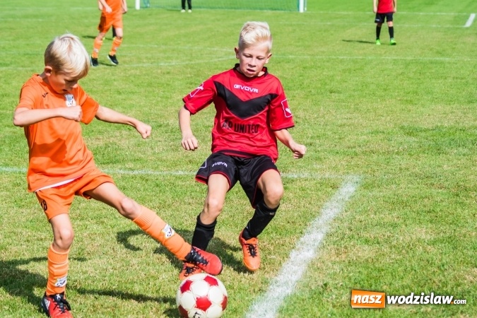 Zdjęcie w galerii na portalu naszwodzislaw.com: Orliki młodsze: Mendel goli w starciu Rafako z AP United Rydułtowy wiadomości z regionu