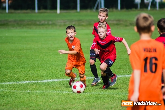 Zdjęcie w galerii na portalu naszwodzislaw.com: Orliki młodsze: Mendel goli w starciu Rafako z AP United Rydułtowy wiadomości z regionu